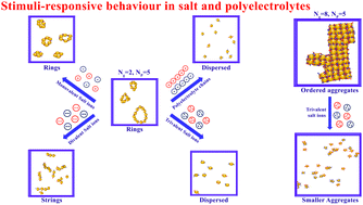 Graphical abstract: Understanding the stimuli responsive behavior of polyion grafted nanoparticles in the presence of salt and polyelectrolytes
