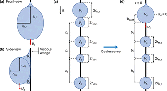 Graphical abstract: Dynamics of fog droplets on a harp wire