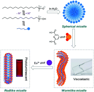 Graphical abstract: In situ formation and dispersion of lanthanide complexes in wormlike micelles