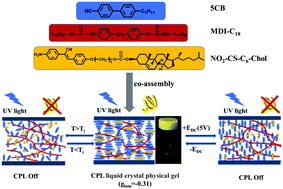 Graphical abstract: The preparation and properties of circularly polarized luminescent liquid crystal physical gels with self-supporting performance