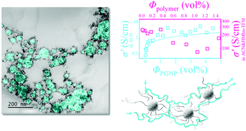 Graphical abstract: Ion channels in sulfonated copolymer-grafted nanoparticles in ionic liquids