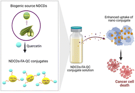 Graphical abstract: Quercetin conjugated fluorescent nitrogen-doped carbon dots for targeted cancer therapy application