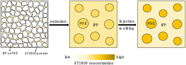 Graphical abstract: Distribution of an antioxidant in polypropylene/ethylene–octene copolymer blends studied by atomic force microscopy-infrared