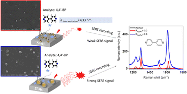 Graphical abstract: Self-assembly-based integration of Ag@Au oligomers and core/shell nanoparticles on polymer chips for efficient sensing devices