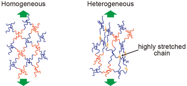 Graphical abstract: Quasi-elastic neutron scattering study on dynamics of polymer gels with controlled inhomogeneity under uniaxial deformation