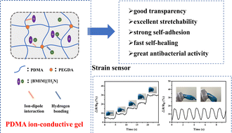 Graphical abstract: Poly(N,N-dimethyl)acrylamide-based ion-conductive gel with transparency, self-adhesion and rapid self-healing properties for human motion detection