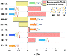 Graphical abstract: Helical micro-swimmer: hierarchical tail design and propulsive motility