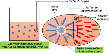 Graphical abstract: The effects of surfactant and oil chemical structures on self-assembly in apolar media