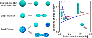 Graphical abstract: Association of two polyelectrolytes in salt solutions