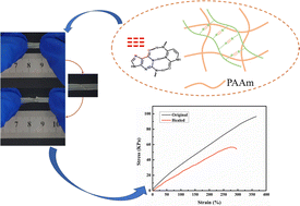 Graphical abstract: Self-healing polyacrylamide (PAAm) gels at room temperature based on complementary guanine and cytosine base pairs