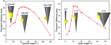 Graphical abstract: Simulation investigation of the spontaneous motion behaviors of underwater oil droplets on a conical surface