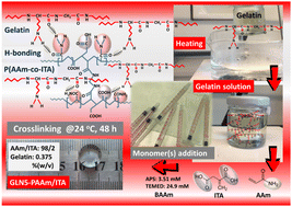 Graphical abstract: Assessing the compressive elasticity and multi-responsive property of gelatin-containing weakly anionic copolymer gels via semi-IPN strategy