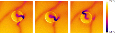 Graphical abstract: Thermal Marangoni bubbles