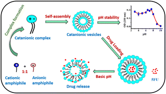 Graphical abstract: Base-triggerable lauryl sarcosinate–dodecyl sulfate catanionic liposomes: structure, biophysical characterization, and drug entrapment/release studies