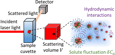 Graphical abstract: Light scattering from mixtures of interacting, nonionic micelles with hydrophobic solutes