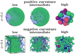 Graphical abstract: Curvature-controlled geometrical lensing behavior in self-propelled colloidal particle systems