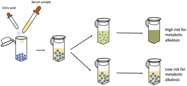 Graphical abstract: Degradation of hydrogel beads for the detection of serum bicarbonate levels for the diagnosis of metabolic alkalosis at the point of care