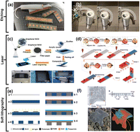 Graphical abstract: Recent advances in biomimetic soft robotics: fabrication approaches, driven strategies and applications