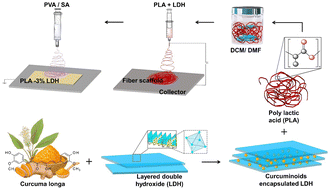 Graphical abstract: Investigation and multiscale modeling of PVA/SA coated poly lactic acid scaffold containing curcumin loaded layered double hydroxide nanohybrids