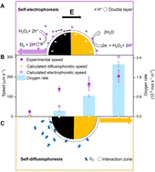 Graphical abstract: Determination of the swimming mechanism of Au@TiO2 active matter and implications on active–passive interactions