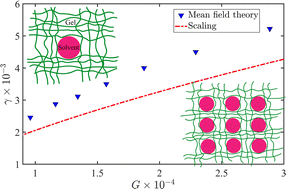 Graphical abstract: Thermodynamics predicts a stable microdroplet phase in polymer–gel mixtures undergoing elastic phase separation