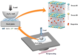 Graphical abstract: In situ preparation of hydroxyapatite in lamellar liquid crystals for joint lubrication and drug delivery