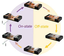 Graphical abstract: Self-regulating electrical rhythms with liquid crystal oligomer networks in hybrid circuitry