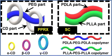 Graphical abstract: Preparation of stereocomplex and pseudo-polyrotaxane with various cyclodextrins as wheel components using triblock copolymer of poly(ethylene glycol) and polylactide