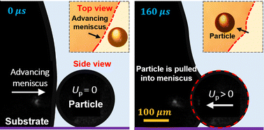 Graphical abstract: Insights into capillary-driven motion of micro-particles interacting with advancing meniscus on a substrate