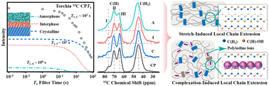 Graphical abstract: Evidence for complexation-induced micro-extension of poly(vinyl alcohol) chains in interphase and amorphous domains from solid-state NMR