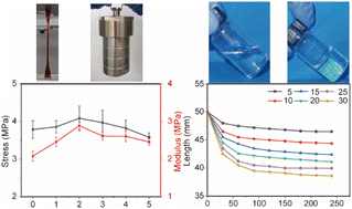 Graphical abstract: Synergy of Hofmeister effect and ligand crosslinking enabled the facile fabrication of super-strong, pre-stretching-enhanced gelatin-based hydrogels