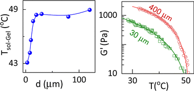 Graphical abstract: Anisotropic sol–gel transition: the influence of sample thickness, pressure and strain