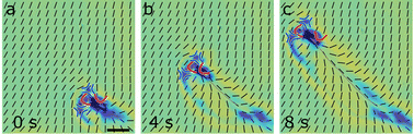 Graphical abstract: Motility of acoustically powered micro-swimmers in a liquid crystalline environment