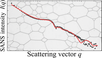 Graphical abstract: Probing foams from the nanometer to the millimeter scale by coupling small-angle neutron scattering, imaging, and electrical conductivity measurements