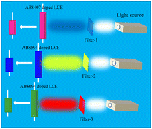 Graphical abstract: Optical wavelength selective actuation of dye doped liquid crystalline elastomers by quasi-daylight