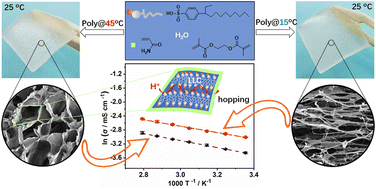 Graphical abstract: Effect of polyacrylamide morphology templated using lyotropic liquid crystal on the proton conductivity of acid hydrogels