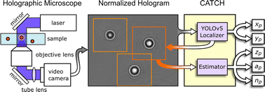 Graphical abstract: Machine learning enables precise holographic characterization of colloidal materials in real time