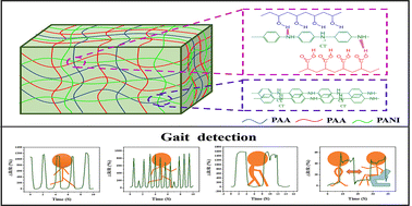 Graphical abstract: A high-pressure resistant ternary network hydrogel based flexible strain sensor with a uniaxially oriented porous structure toward gait detection