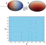 Graphical abstract: Preferential localization of a single spot in reaction–diffusion systems on non-spherical surfaces