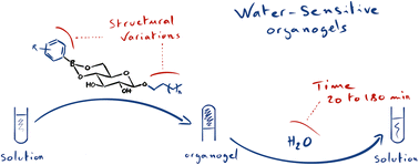 Graphical abstract: Adjusting the water-sensitivity of sugar/boronate-based organogels