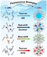 Graphical abstract: Determination of the critical micelle concentration of surfactants using fluorescence strategies