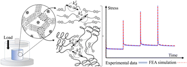 Graphical abstract: Poroviscoelasto-plasticity of agarose-based hydrogels