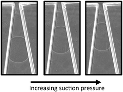 Graphical abstract: Microfluidic tapered aspirators for mechanical characterization of microgel beads