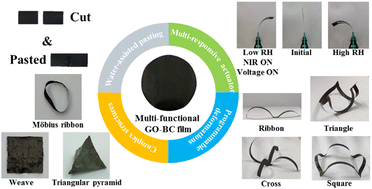 Graphical abstract: Multi-responsive and programmable actuators made with nacre-inspired graphene oxide-bacterial cellulose film