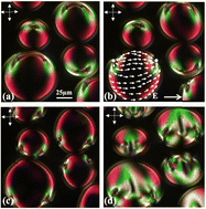 Graphical abstract: Ferroelectric nematic droplets in their isotropic melt