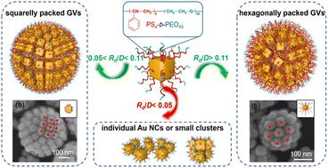 Graphical abstract: Vesicular self-assembly of copolymer-grafted nanoparticles with anisotropic shapes