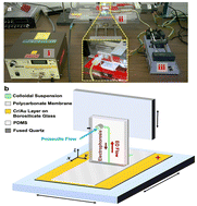 Graphical abstract: Continuous flow microfluidics for colloidal particle assembly on porous substrates