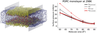 Graphical abstract: An in silico osmotic pressure approach allows characterization of pressure–area isotherms of lipid monolayers at low molecular areas