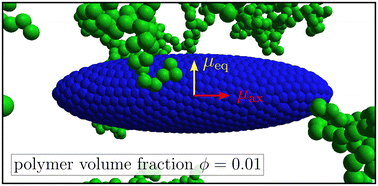 Graphical abstract: Interplay between steric and hydrodynamic interactions for ellipsoidal magnetic nanoparticles in a polymer suspension