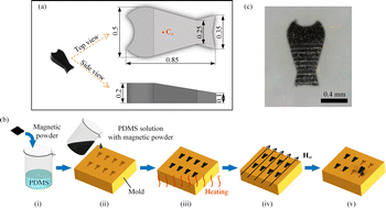 Graphical abstract: Fish-like magnetic microrobots for microparts transporting at liquid surfaces